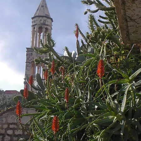 Lejlighed Hvar Hvar Town